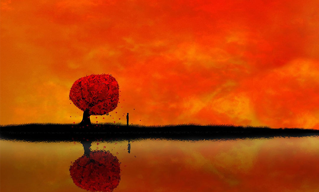 汕尾笙影微信朋友圈转发案例